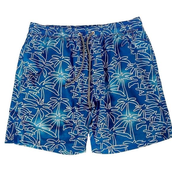NWOT PACSUN SWIM TRUNKS - Picture 1 of 5